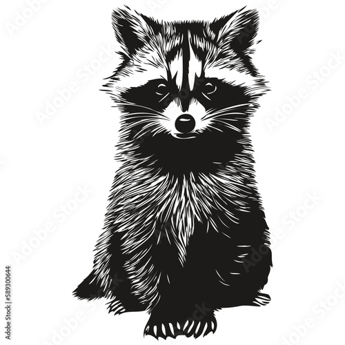 Black and white linear paint draw raccoon vector illustration