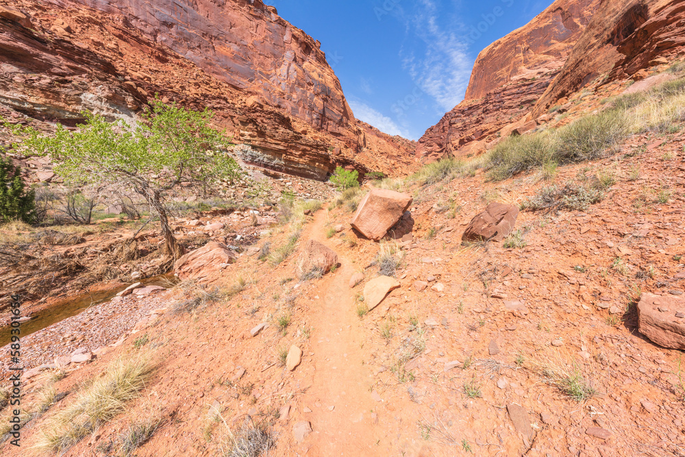 Fototapeta premium hiking the syncline loop trail in island in the sky district of canyonlands national park, utah, usa