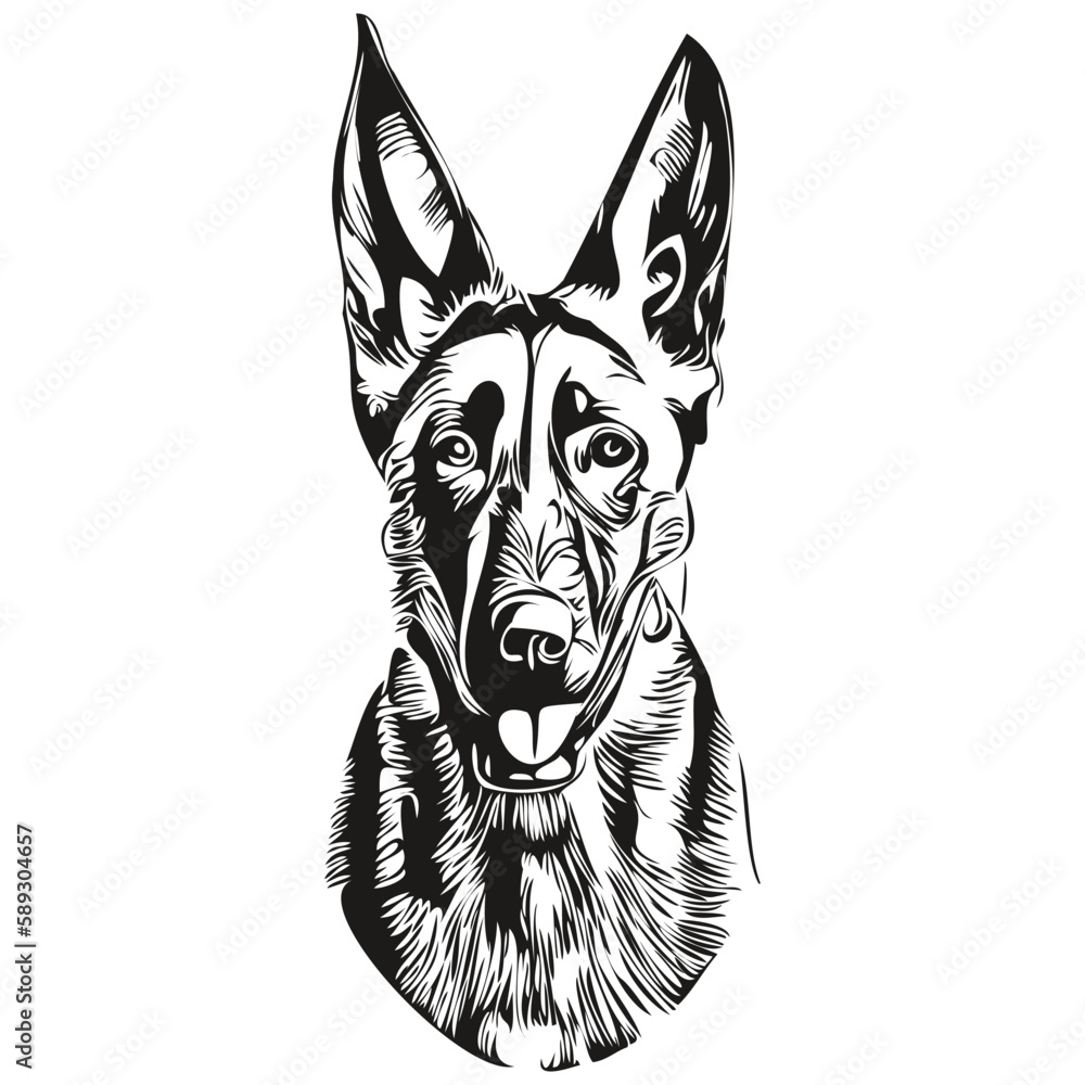 Belgian Malinois dog logo hand drawn line art vector drawing black and white pets illustration