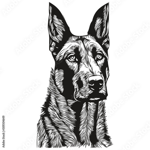 Belgian Malinois dog logo hand drawn line art vector drawing black and white pets illustration