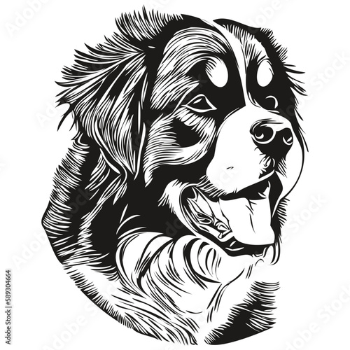 Bernese Mountain dog black and white vector logo, line art hand drawn vector pets illustration