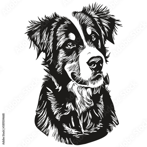 Bernese Mountain dog black and white vector logo, line art hand drawn vector pets illustration