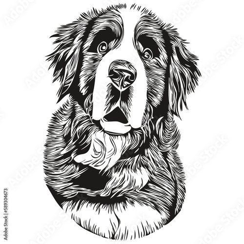 Bernese Mountain dog black and white vector logo, line art hand drawn vector pets illustration