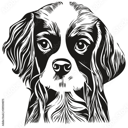 Cavalier King Charles Spaniels dog black and white vector logo, line art hand drawn vector pets illustration
