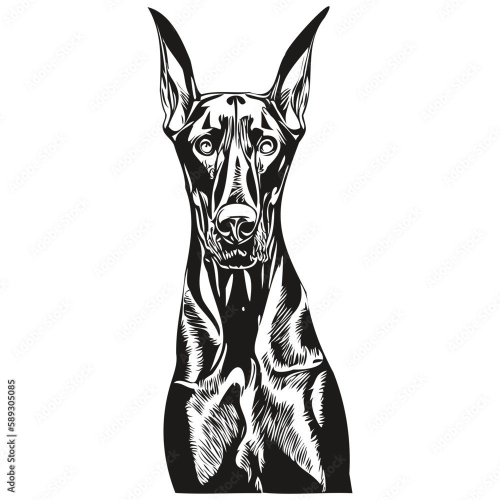 Doberman Pinschers dog black and white vector logo, line art hand drawn vector pets illustration