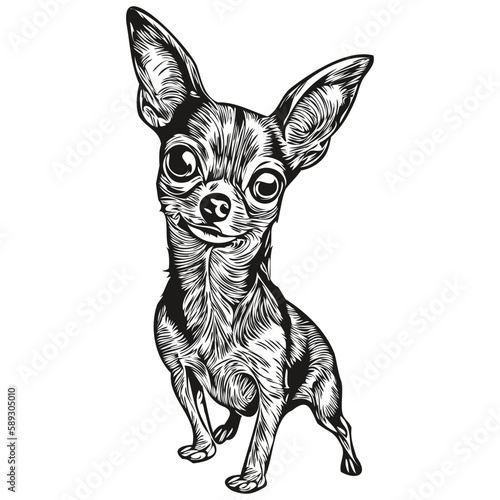 Chihuahua dog black and white vector logo, line art hand drawn vector pets illustration