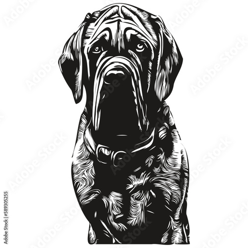 Mastiff dog hand drawn line art vector drawing black and white logo pets illustration