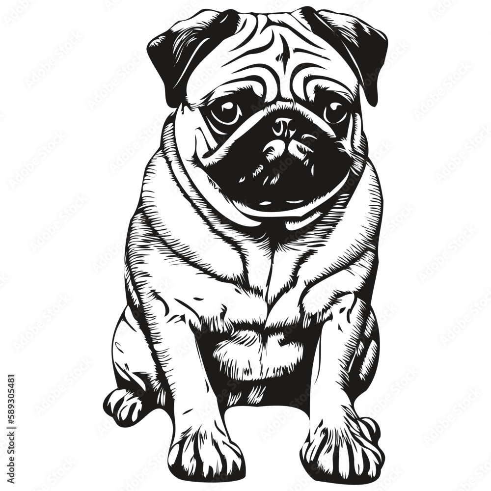 Fototapeta premium Pugs dog logo hand drawn line art vector drawing black and white pets illustration