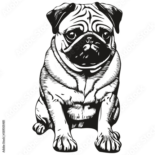 Pugs dog logo hand drawn line art vector drawing black and white pets illustration