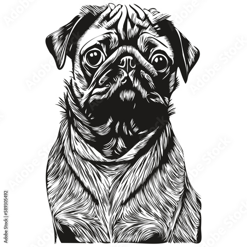 Pugs dog hand drawn vector line art drawing black and white logo pets illustration