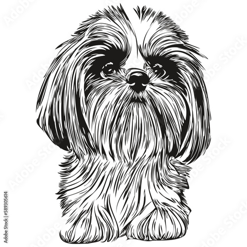 Shih Tzu dog logo hand drawn line art vector drawing black and white pets illustration