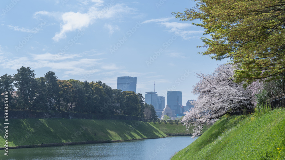 【東京都】皇居周辺のお濠と春の桜｜千鳥ヶ淵公園周辺