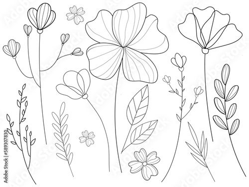 Black and white flowers vector illustration