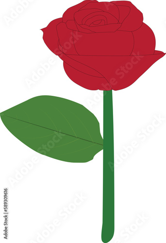 A beautiful rose art vector work