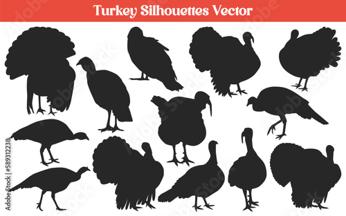 Animal turkey silhouettes Vector Collection