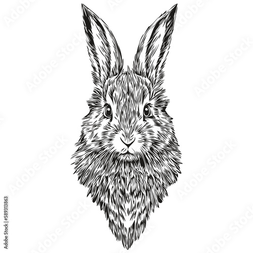 Vintage engrave isolated Rabbit illustration cut ink sketch hare