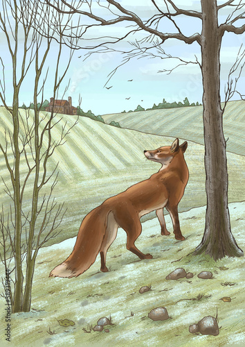 Illustration of a fox on the background of a winter landscape. Farmhouse, fields covered with first snow and tree trunks. For book printing, printing on children's products, website design.