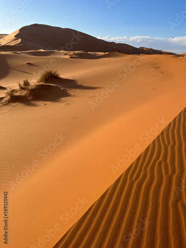 Merzouga  Morocco  Africa  panoramic view of the dunes in the Sahara desert  grains of sand forming small waves on the beautiful dunes at sunset  