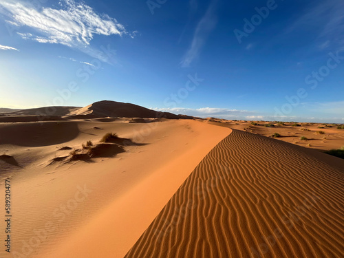 Fotografiet Merzouga, Morocco, Africa, panoramic view of the dunes in the Sahara desert, gra