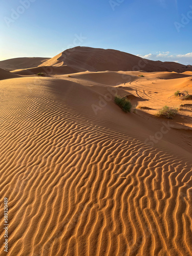 Merzouga  Morocco  Africa  panoramic view of the dunes in the Sahara desert  grains of sand forming small waves on the beautiful dunes at sunset  