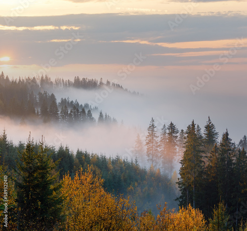 Autumn Carpathians, Ukraine.