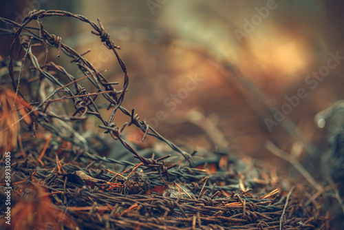 Rusty barbed wire lies on the ground in the forest.Artifacts of the past war. Sharp wire underfoot.