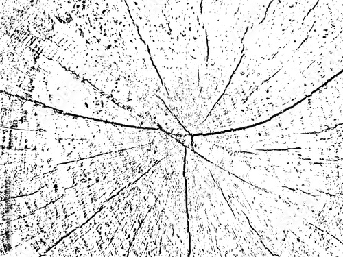 Create stunning designs with this raw and natural vector grunge texture of a chestnut tree cross-section on a monochrome sawn log background with cracks. Perfect as an overlay or stencil for unique de