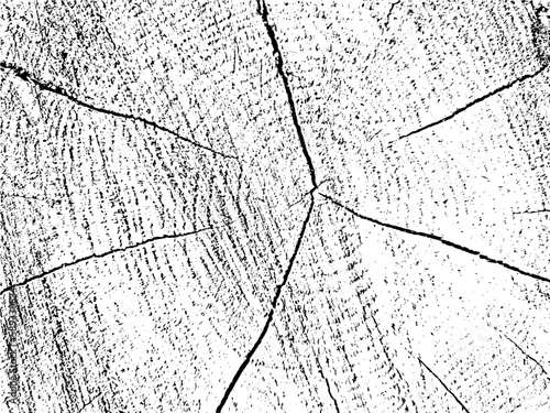 Raw and natural Vector grunge texture of an oak tree cross-section on monochrome sawn log background with cracks. Ideal as an overlay or stencil for unique designs