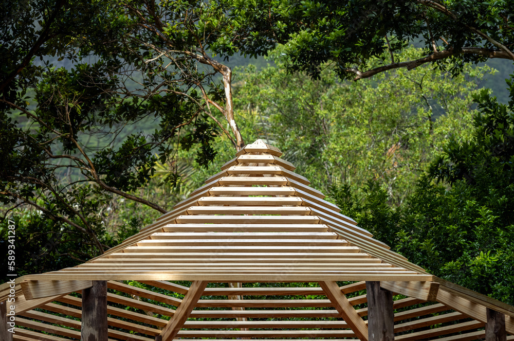Obraz premium Teak Pagoda Sun Awning in a Green Rainforest Setting.