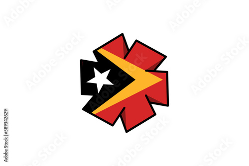 East Timor flag icon, illustration of national flag design with elegance concept
