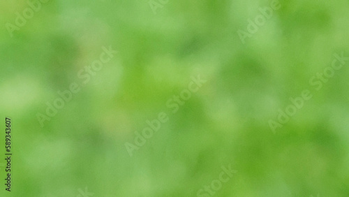 A background image symbolizing green spring. Great for editing posters, etc.