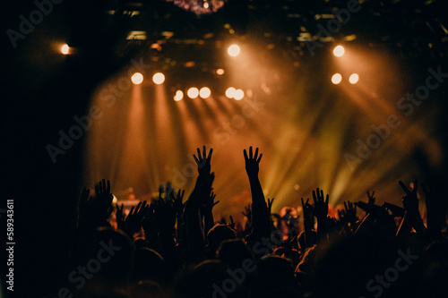 Concert Crowd Stock Images