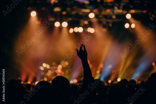 Concert Crowd Stock Images