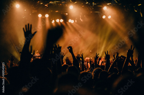 Concert Crowd Stock Images