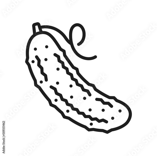 Whole cucumber isolated vegetable thin line icon. Vector cucumis sativus, healthy organic outline cucumber dieting vegetarian food