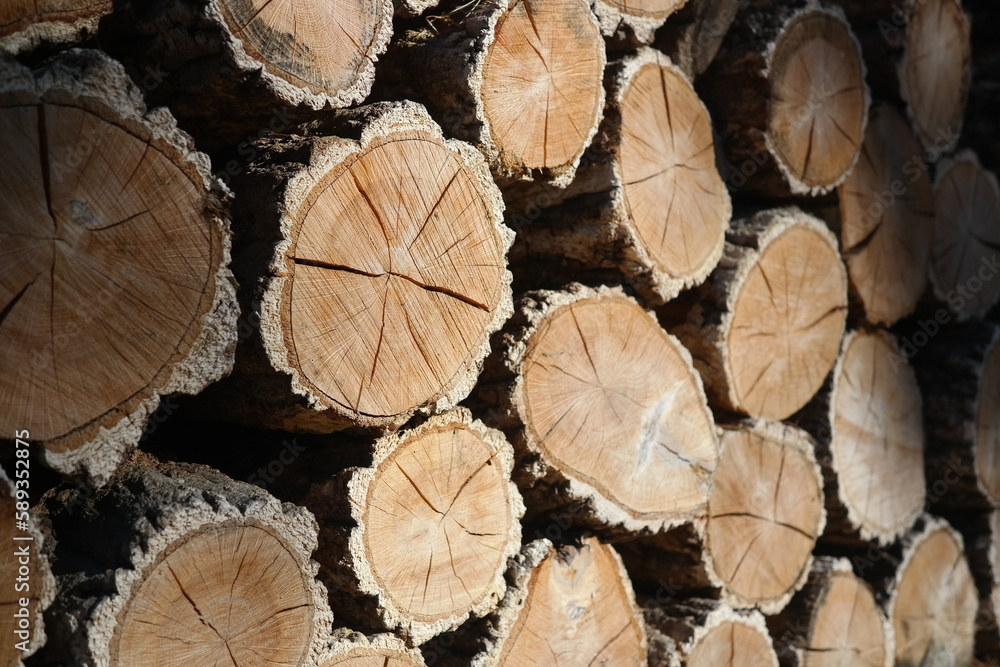 Naklejka premium Woodpile of chopped firewood prepared for winter
