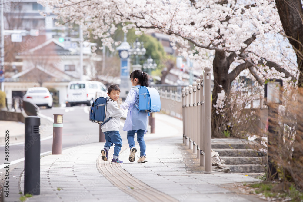 桜の下を歩く小学生 　cherry blossoms