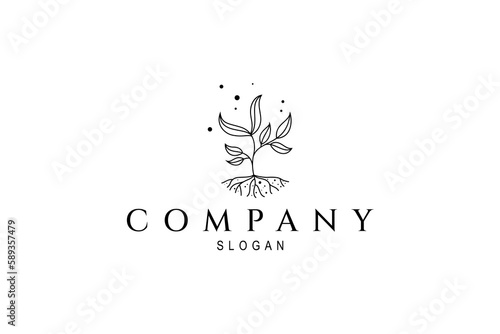 plant root logo with line art design style