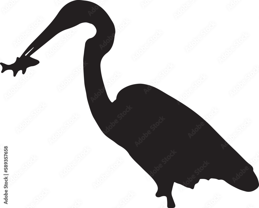 silhouette of a pelican
