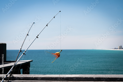 Fishing Poles off the Pensacola Pier