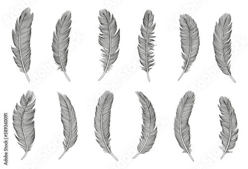Set of bird feathers. Hand drawn illustration  © Ardiyan