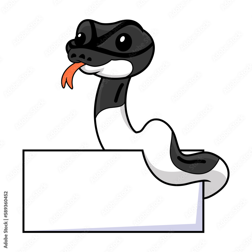 Fototapeta premium Cute panda pied ball python cartoon with blank sign