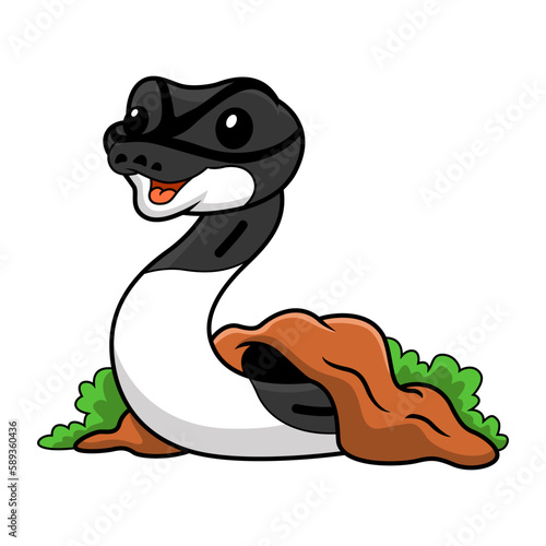 Cute panda pied ball python cartoon out from hole