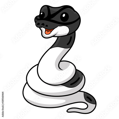 Cute panda pied ball python cartoon