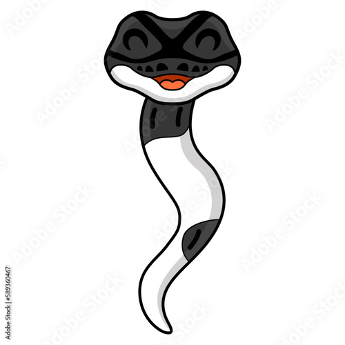 Cute panda pied ball python cartoon