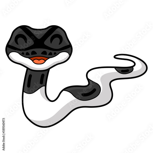 Cute panda pied ball python cartoon