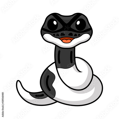 Cute panda pied ball python cartoon