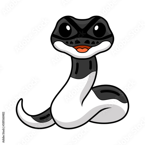 Cute panda pied ball python cartoon