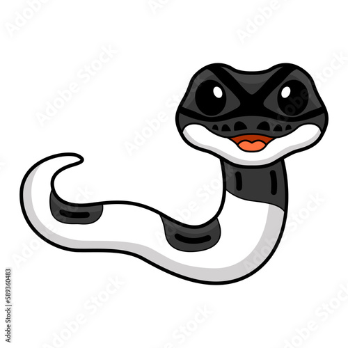 Cute panda pied ball python cartoon