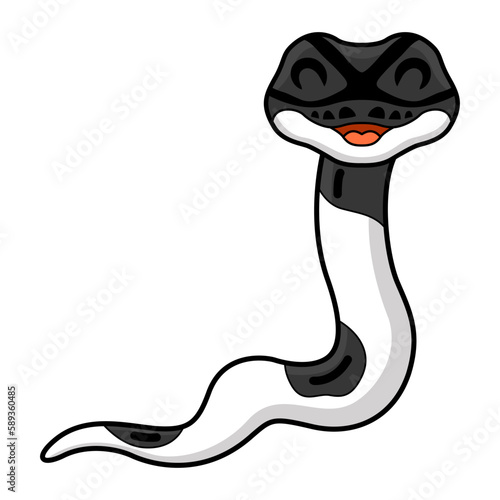 Cute panda pied ball python cartoon